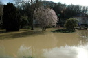 DSC 5206 (51634 visits) DSC 5206
