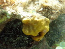 DSCI0754