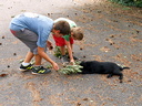 DSCN0213 (63919 visits) DSCN0213