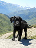 DSCN0279 (84028 visits) DSCN0279