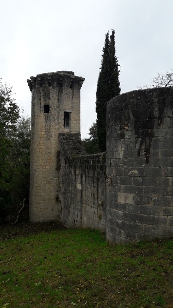 Poitiers la tour de Vouneuil 2 GC5D756.jpg