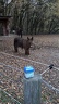 Bois de St Pierre Un château pour animaux 2 GC7ANR7