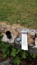 Charroux La jardin des ramparts GC61YAY
