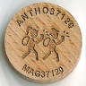 Wood Geocoin