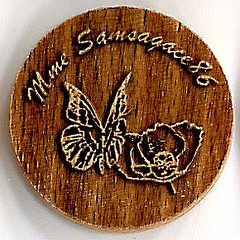Samsagace86-5
